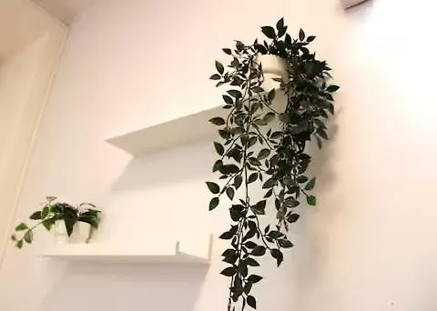 Alegria Street Flat * بورتو