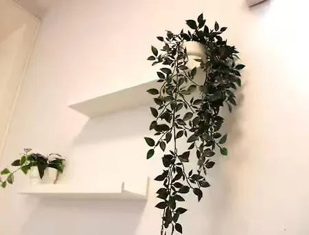 Alegria Street Flat * פורטו